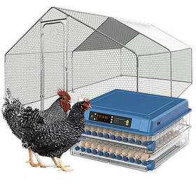 Птахівництво