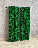 Панелі з мохом, фіто-панелі, смужки з моху, озеленення мохом