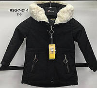 Куртка утепленная для девочек оптом, Nature, 2-6 лет, № RSG-7424-1