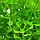 Штучне рослина для акваріума Атман Q-088C 7.5 см, фото 2