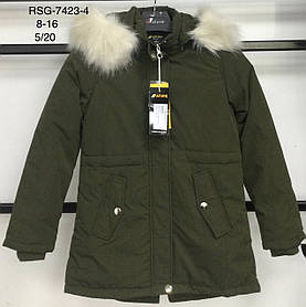 Куртка утеплена для дівчаток оптом, Nature, 8-16 років,  арт. RSQ-7423-4