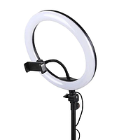 Лампа кольцевая RING FILL LIGHT QX300 30см LK202301-31