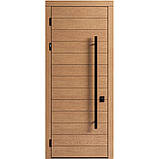 Вхідні двері F 153 для вулиці, фото 5