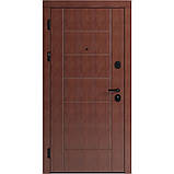 Вхідні двері F 106 для вулиці, фото 3