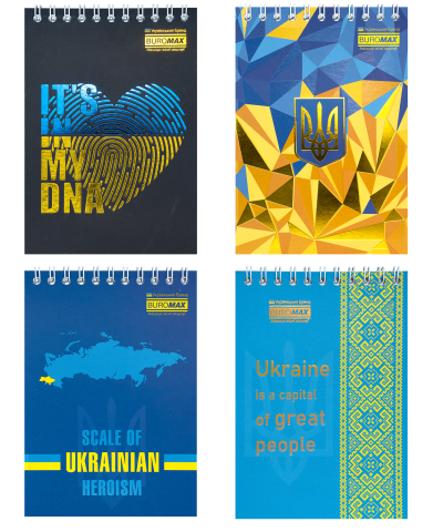 Блокнот на спіралі зверху А6 48арк BM.24645115 PATRIOT NATIONAL клітинка, картон обкл (16)