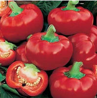 Насіння перцю Колобок  20 насінин