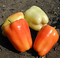 Насіння перцю Фламінго 20 насінин