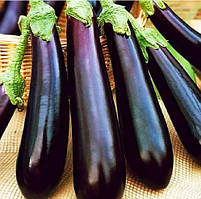 Насіння баклажан Фіолетове диво 30 нас