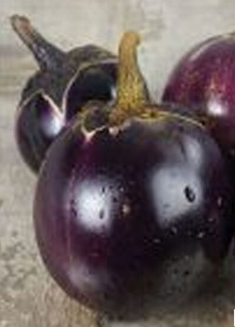 Насіння баклажан Флоренція 30 нас, фото 1