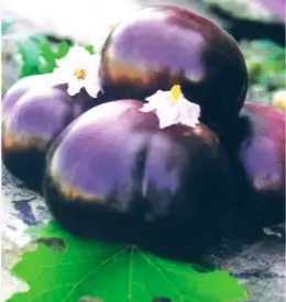 Насіння баклажан Геліос 30 нас, фото 1