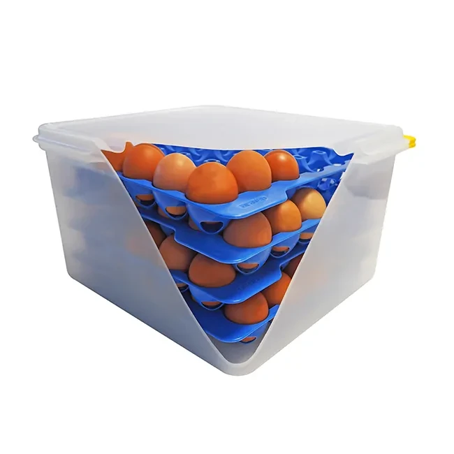 Контейнер із кришкою для яєць прямокутний GN 2/3 35.4х32.5х20 см із поліпропілену Araven, фото 1