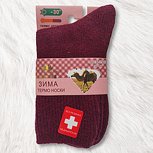 Шкарпетки теплі жіночі медичні верблюжа вовна 37-41 вишневий Корона