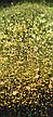 ГЛІТЕР СУХИЙ ГОЛОГРАФІЧНИЙ MIX CHUNKY GLITTER 10 g, фото 8