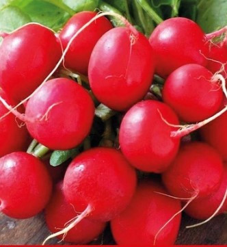 Насіння редьки Сакса 3 г, фото 1