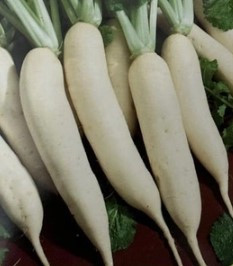 Насіння редьки Дайкон 3 г, фото 1