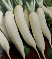 Насіння редьки Дайкон 3 г