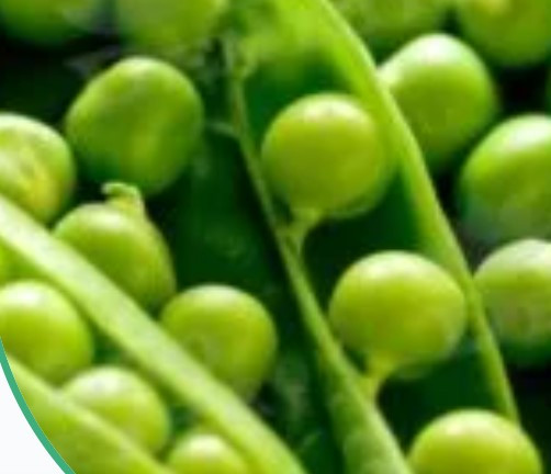 Насіння гороху Солодкий 25 г, фото 1