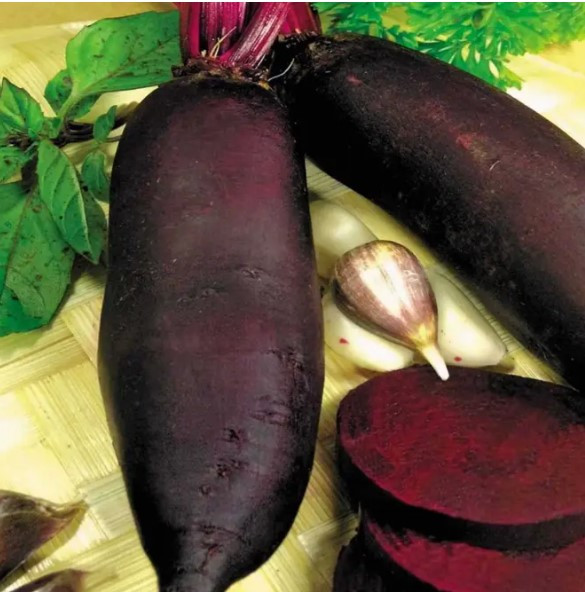 Насіння буряка Циліндра 15 г, фото 1