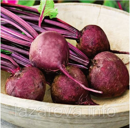 Насіння буряка Детройт 15 г, фото 1