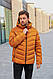 Зимова чоловіча куртка INDACO IC1193C Mustard, 48, фото 7