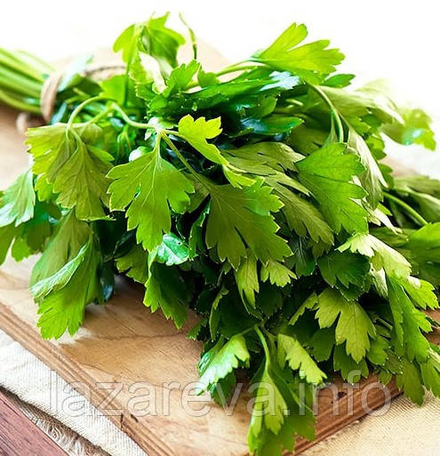 Насіння петрушки Гігантелла 2 г, фото 1