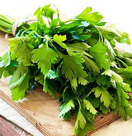 Насіння петрушки Гігантелла 2 г