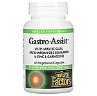 Natural Factors, Gastro-Assist з мастиковою смолою, сахароміцетами буларді та цинк-L-карнозином, 60 капсул