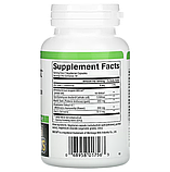 Natural Factors, Gastro-Assist з мастиковою смолою, сахароміцетами буларді та цинк-L-карнозином, 60 капсул, фото 3