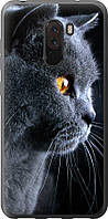 Чехол с принтом для Xiaomi Pocophone F1 / на Ксяоми, сяоми, ксиоми покофон ф1 с рисунком Красивый кот