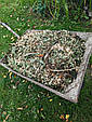 Подрібнювач гілок садовий Riwall RES 2545 PRO (ножевий, 3500 Вт, до 45 мм, Чехія), фото 9