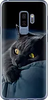 Чехол с принтом для Samsung Galaxy S9 Plus / на самсунг галакси с9 плюс с рисунком Дымчатый кот