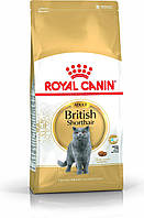Royal Canin British 10 kg.
