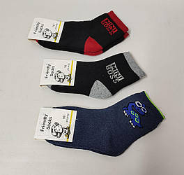Шкарпетки дитячі Friendly Socks 3031016-003 сер. махра різні кольори р.16 (уп.12 пар)