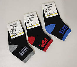 Шкарпетки дитячі Friendly Socks 3031014-001 сер. махра різні кольори р.14 (уп.12 пар)