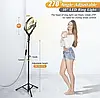 CODN-539B Комплект блогера 4в1 Кільцева лампа 10" 26 см з тримачами для телефона, штатив підлоговий, фото 7