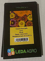 Насіння газанії Нью Дей, 50 шт., суміш ТМ "ЛєдаАгро"