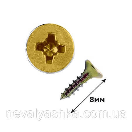 Саморіз для Бизиборда 2,5х8 мм для Замків Шпінгалетів Ручок, Петель Завіс Шуруп Бізіборда