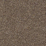 Ковролін AW Pavia 42 - ширина 3 метри /безкоштовна доставка/, фото 4