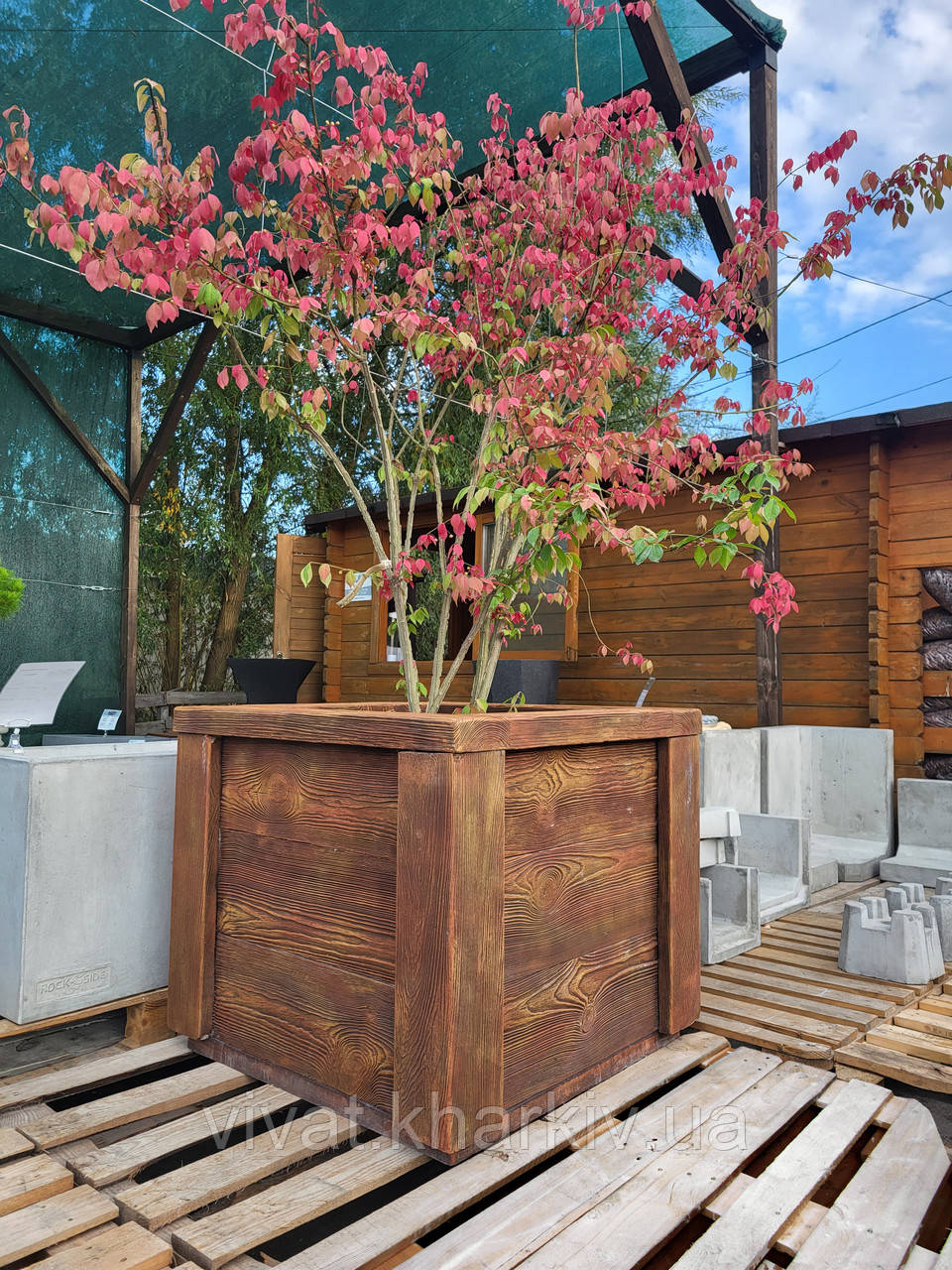 Вуличний вазон/кашпо з бетону (під дерево) Веранда В700хД650хШ650 мм, Вага — 315 кг, Об'єм — 214 л.