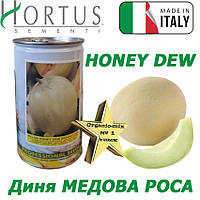 Насіння, диня HONEY DEW / МЕДОВА РОСА (банка 500 грам) Італія, ТМ Hortus Sementi, Імпорт 2025