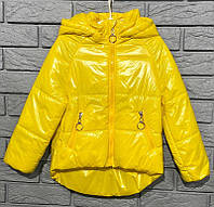 Куртка жовта бренду BARBARRIS(Україна) 110-116см жовта110-116
