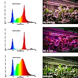 Світлодіодний фітосвітильник 100 Вт регульовані за яскравістю та спектром, фото 7