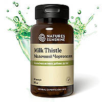 Молочный Чертополох (Milk Thistle) NSP Биологически Активная Добавка