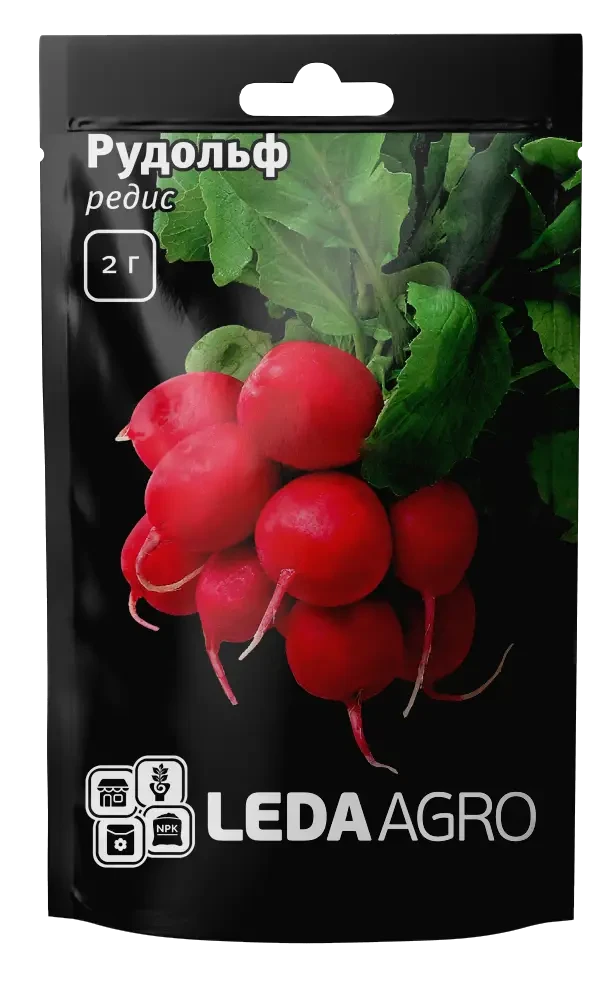 Насіння редису РУДОЛЬФ / RUDOLF, 2 г — редис, LEDAAGRO