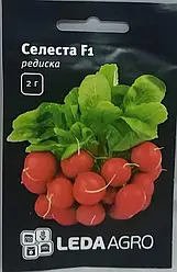 Редис Селеста насіння F1, 2 г — ранній, урожайний, всесезонний, LEDAAGRO