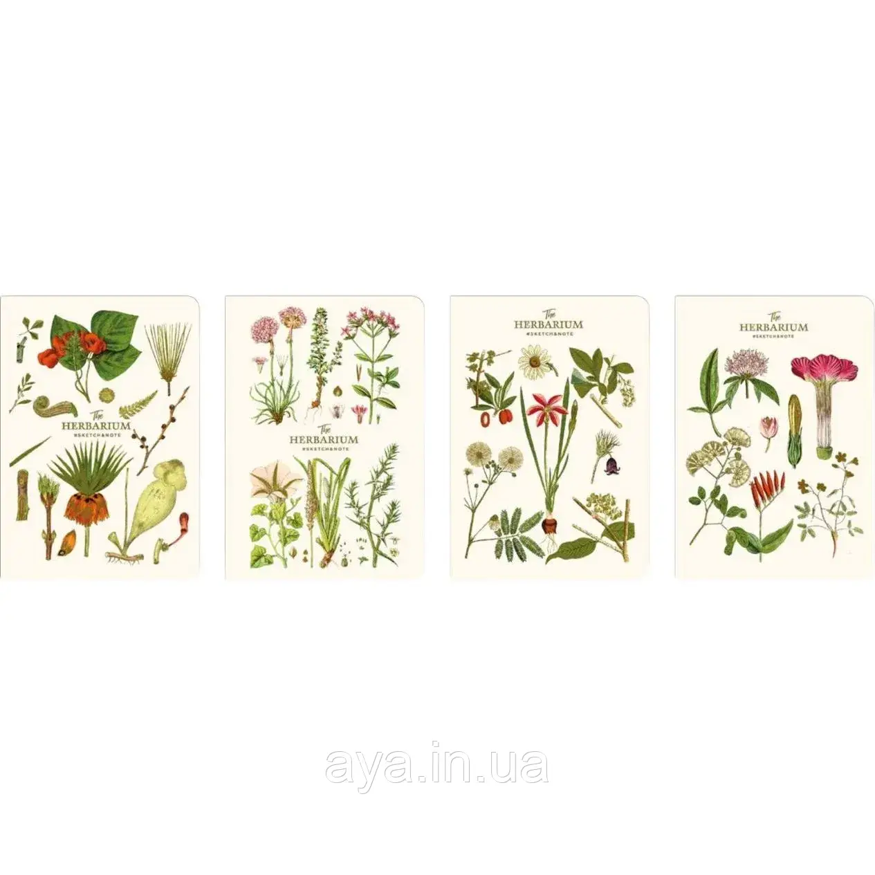 Скетчбук, блокнот для нарисів HERBARIUM-IІІ MUSE ШКОЛЯРИК (А5, 64 л, 120 г/м2, обкл. картон) А5-3С-064-353