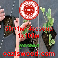 Агроволокно p-50g 1*100м черное AGREEN 4сезона Итальянское качество