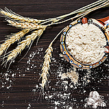 Борошно пшеничне грубого помелу (вагове), 25 кг мішок, фото 5
