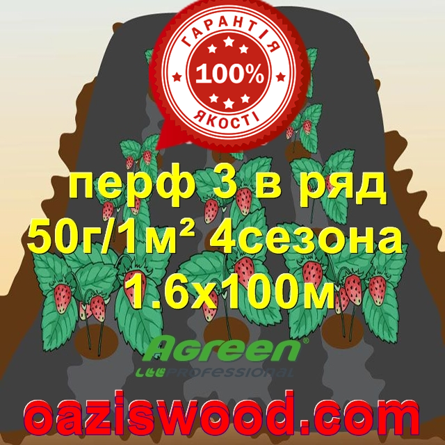 Агроволокно з перфорацією 3 в ряд p-50g 1.6*100м чорне AGREEN 4сезона Італійське якість