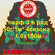 Агроволокно з перфорацією 3 в ряд p-50g 1.6*100м чорне AGREEN 4сезона Італійське якість